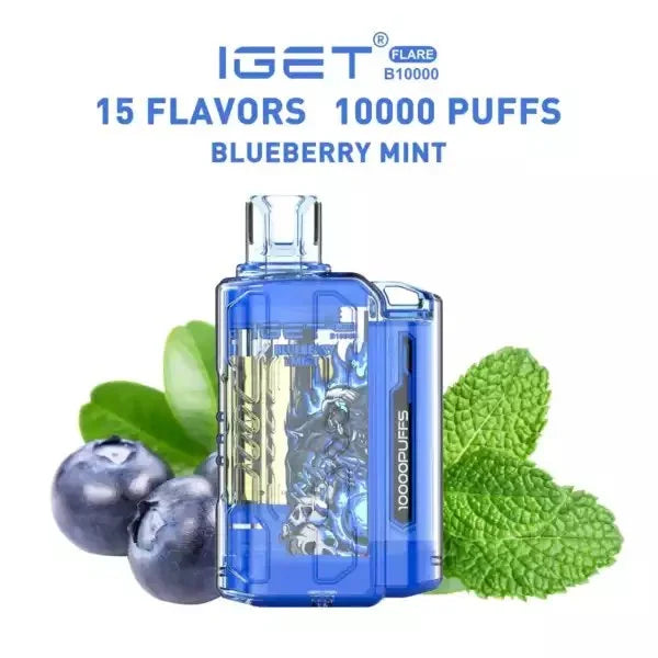 IGET FLARE B10000 – Blueberry Mint - Vape Shop Faridabad